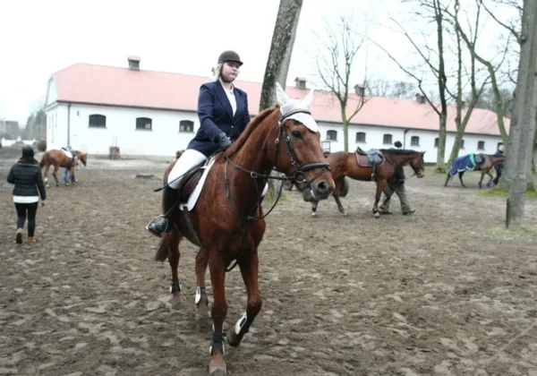 Uczestniczka zawodów jeździeckich na koniu przechodzi obok stajni w Łącku podczas halowych skoków przez przeszkody.