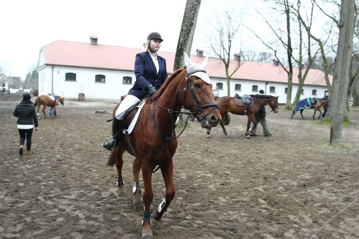 Uczestniczka zawodów jeździeckich na koniu przechodzi obok stajni w Łącku podczas halowych skoków przez przeszkody.