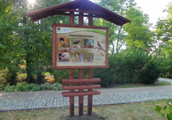 Drewniana tablica informacyjna w parku z kolorowymi zdjęciami ptaków i opisami.