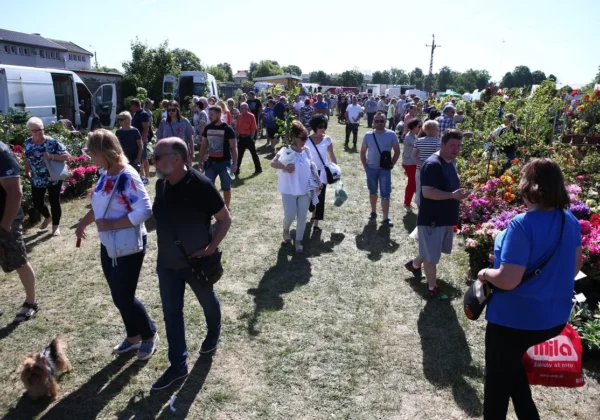Liczne osoby spacerują między stoiskami z kwiatami podczas XXVII Giełdy Rolniczej w Łącku.