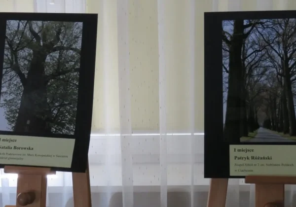 Dwie nagrodzone fotografie wystawione na sztalugach w konkursie „Najpiękniejsze zakątki mojej małej Ojczyzny”: po lewej zdjęcie dużego drzewa z rozłożystymi gałęziami, po prawej alejka drzew tworząca tunel.