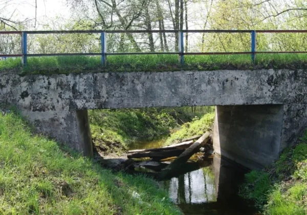 Betonowy most nad zielonym strumieniem, pod którym w korycie leżą porozrzucone drewniane bale.