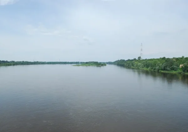 Szeroka rzeka z zielonymi brzegami i wyspą na środku pod jasnym niebem, nadciąga fala wezbraniowa w stronę Płocka.