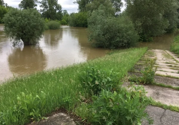 Wisła w powiecie płockim z zalanym brzegiem; na pierwszym planie roślinność i drzewa częściowo zanurzone w brunatnej wodzie, po prawej betonowe płyty chodnika porośnięte trawą.