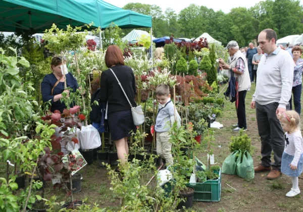 Tłum ludzi zwiedza stoiska z roślinami i sadzonkami pod zielonymi namiotami podczas XXVIII Giełdy Rolniczej w Łącku.