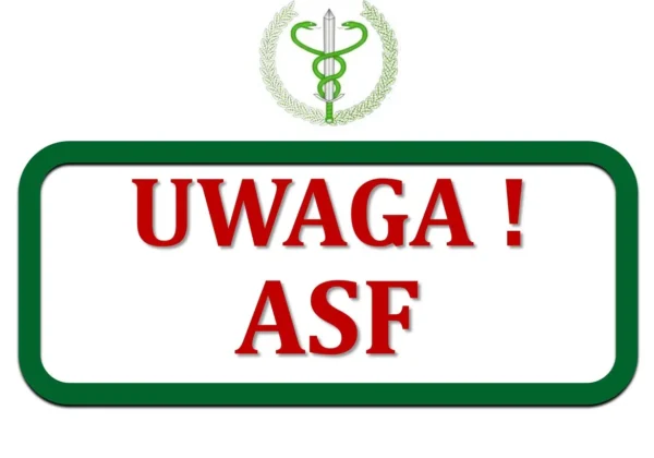 Ostrzegawczy plakat dotyczący Afrykańskiego Pomoru Świń z napisem „UWAGA! ASF” na białej tablicy z zieloną obramówką i symbolem weterynarii nad tekstem.