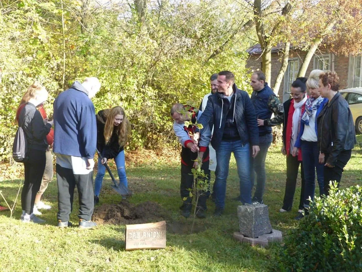 Grupa osób sadzi młode drzewo podczas akcji sprzątania lasu przy DPS w Brwilnie.