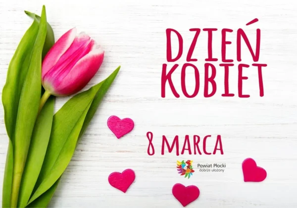 Różowy tulipan z zielonymi liśćmi leży na białym, drewnianym tle obok napisu Dzień Kobiet i 8 Marca oraz kilku różowych serduszek i logo Powiatu Płockiego.