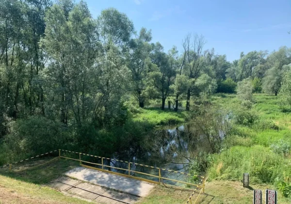 Obiekt hydrotechniczny nad korytem rzeki, otoczony zielenią, z żółtą barierą ochronną i tablicami wodowskazów.