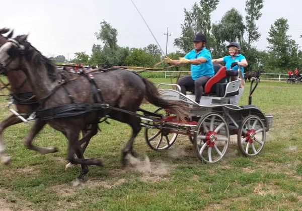 Zaprzęg parokonnny z dwoma końmi prowadzony przez dwie osoby w niebieskich koszulkach podczas zawodów w powożeniu w Łagiewnikach.
