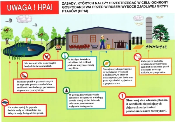 Ilustracja plakatowa z apelem do hodowców drobiu o ochronę przed wirusem HPAI, przedstawiająca gospodarstwo z kurnikiem, stawem i znakami z zasadami bezpieczeństwa oraz higieny.