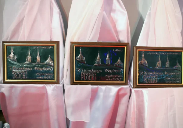 Trzy ramkowe plakietki z wizerunkiem wież Płocka, ustawione na różowych tkaninach, związane z plebiscytem „Z Tumskiego Wzgórza”.