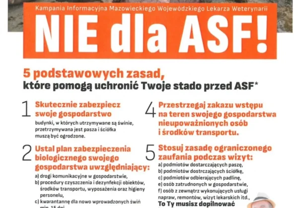 Plakat informacyjny z napisem „NIE dla ASF!” przedstawiający grupę świń i listę zasad ochrony gospodarstwa przed afrykańskim pomorem świń (ASF), z logo Inspekcji Weterynaryjnej.
