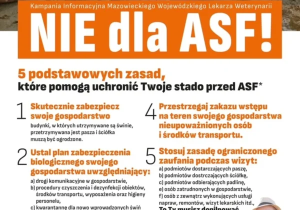 Plakat informacyjny apelujący do hodowców trzody chlewnej przeciw ASF – z hasłem „NIE dla ASF!” i listą pięciu zasad ochrony gospodarstwa.