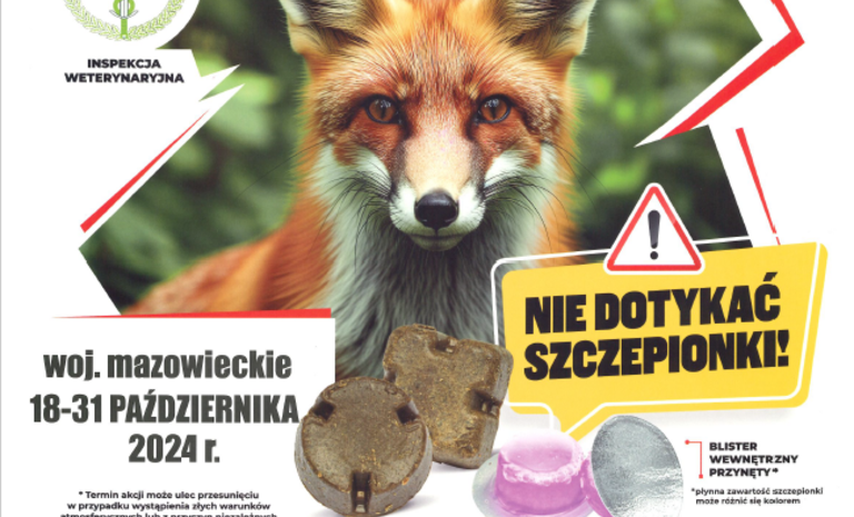 Grafika informacyjna o szczepieniu lisów