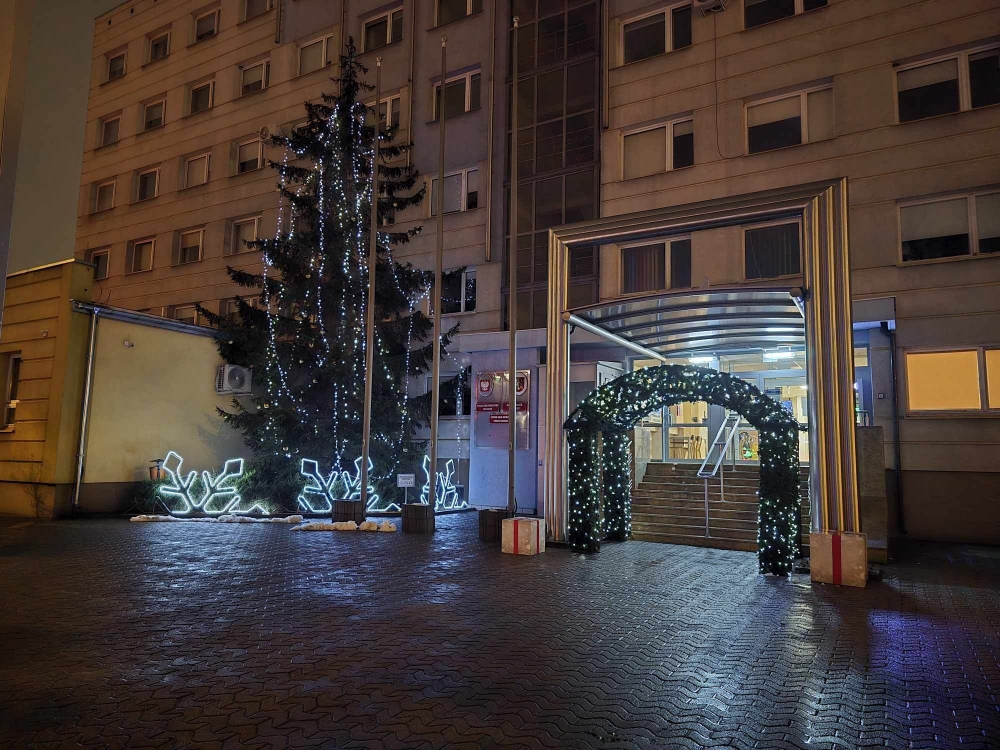 Przystrojone wejście do Starostwa powiatowego wraz z dużą choinką obok