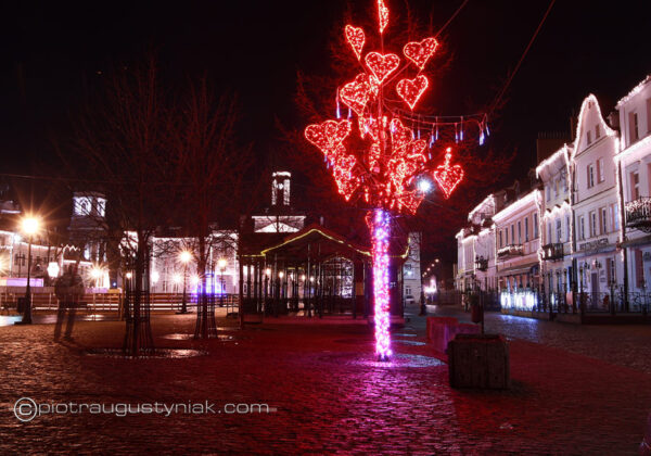 Drzewko w walentynkowej iluminacji na starym rynku