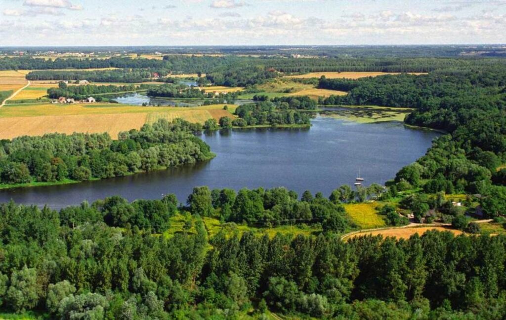 Jezioro w środku lasku