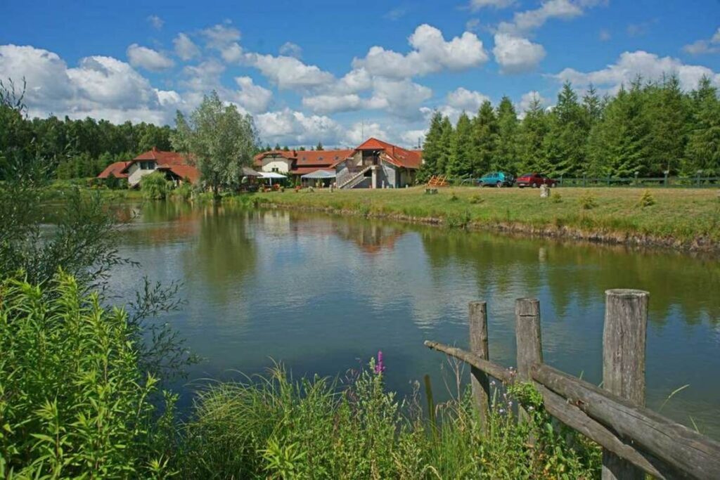 Staw w Korzeniu Rządowym