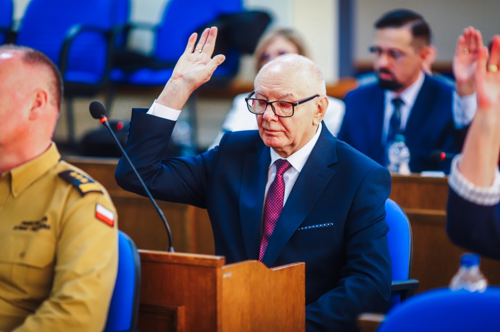 Głosowanie w sprawach powiatu płockiego