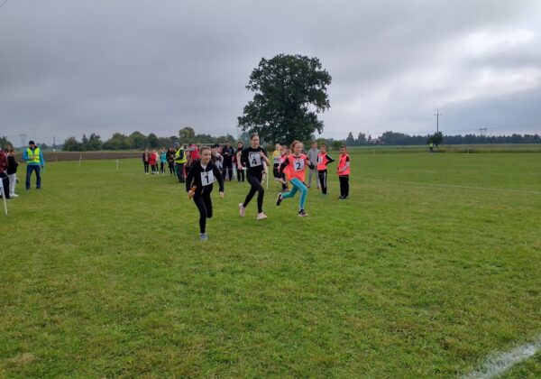 Powiatowe Igrzyska Dzieci i Młodzieży.