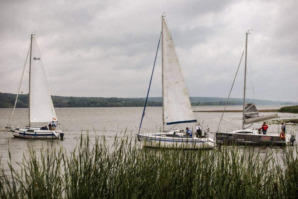 Płynące żaglówki zza trawą