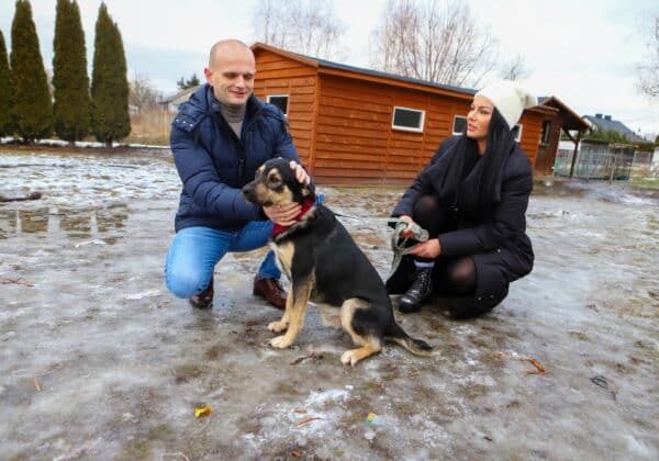 Starosta w Psiej Wiosce w gminie Gąbin