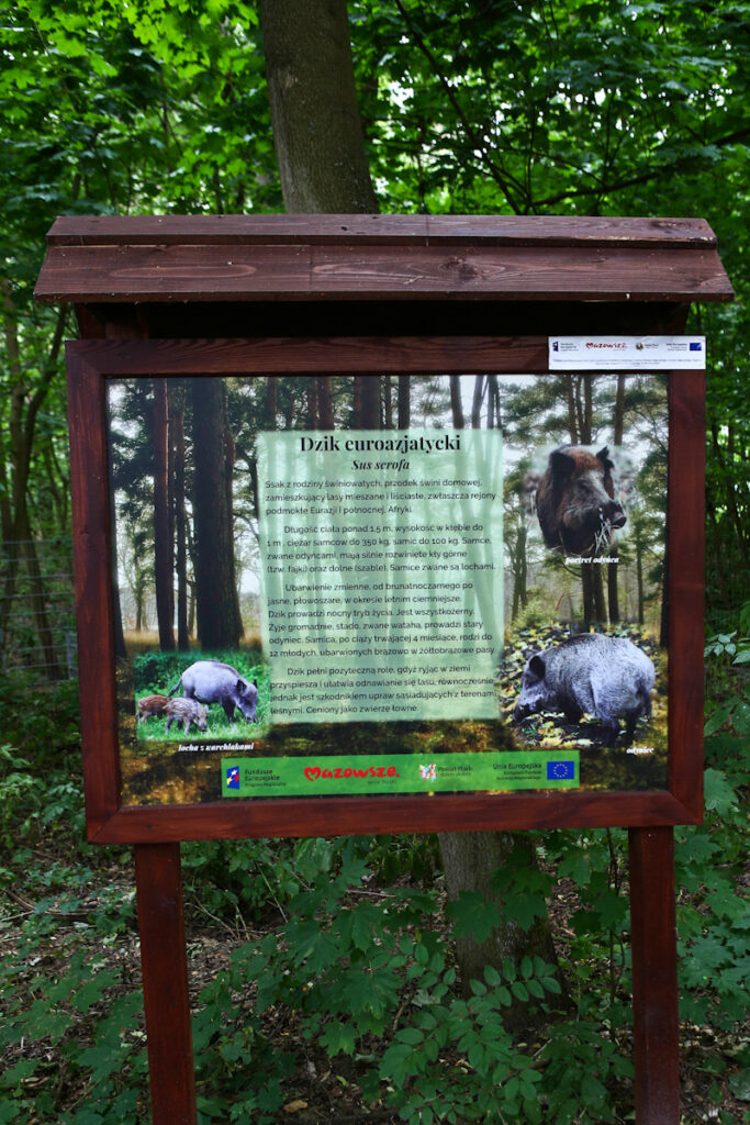 Tablica informacyjna o dziku euroazjatyckim
