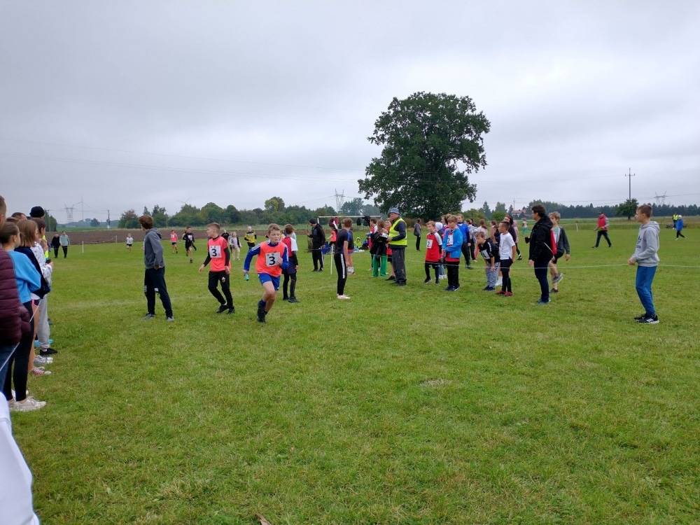 Sztafetowe biegi przełajowe