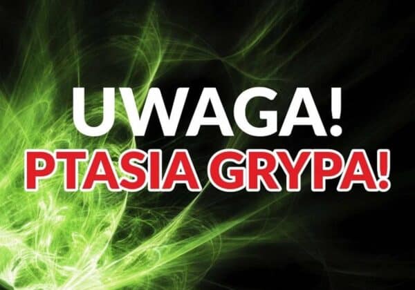 Plakat ostrzegający przed ptasią grypą, z dużym napisem "UWAGA! PTASIA GRYPA!" na tle czarno-zielonym.