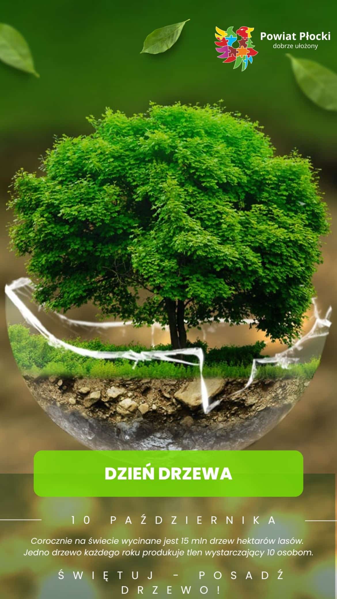 Plakat z okazji Dnia Drzewa przedstawiający zielone drzewo z informacjami o ochronie lasów oraz zachęcający do sadzenia drzew.