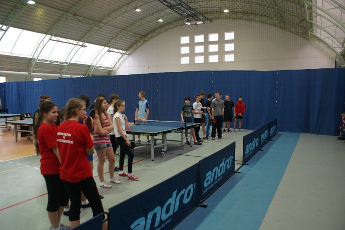 Finały powiatowe w tenisa stołowego