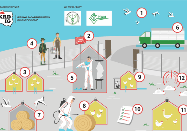 Grafika przedstawia ilustrację dotyczącą zasad bioasekuracji w hodowli drobiu, z numerowanymi etapami oraz postaciami wykonującymi różne czynności.